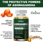 HoneyB2B | Organic Ashwagandha Extract Capsules 2000mg – Daily Balance, Mood & Wellness Support (120 Capsules) - Image 4